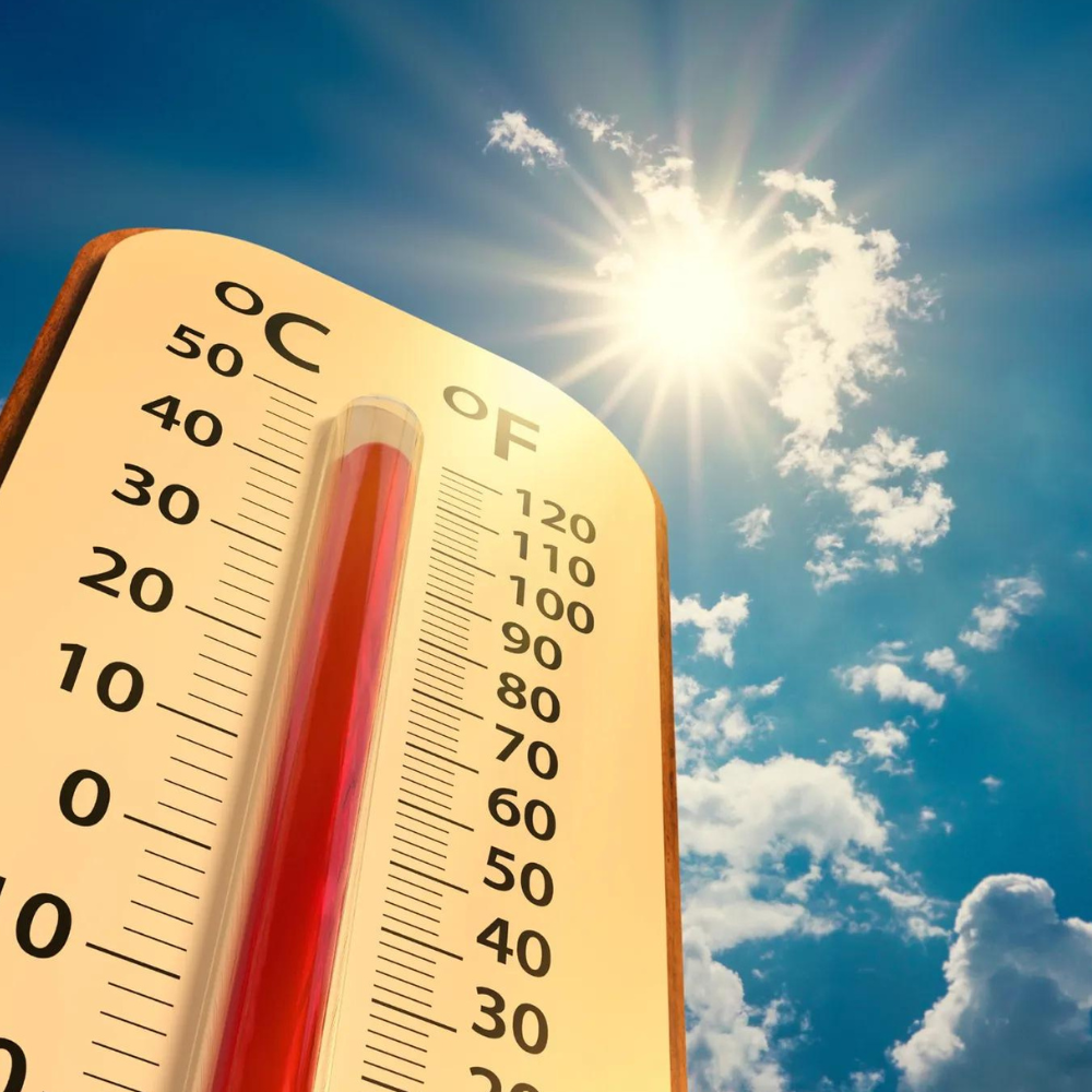 LOS PELIGROS DEL CALOR PARA LA VIVIENDA Y SUS HABITANTES