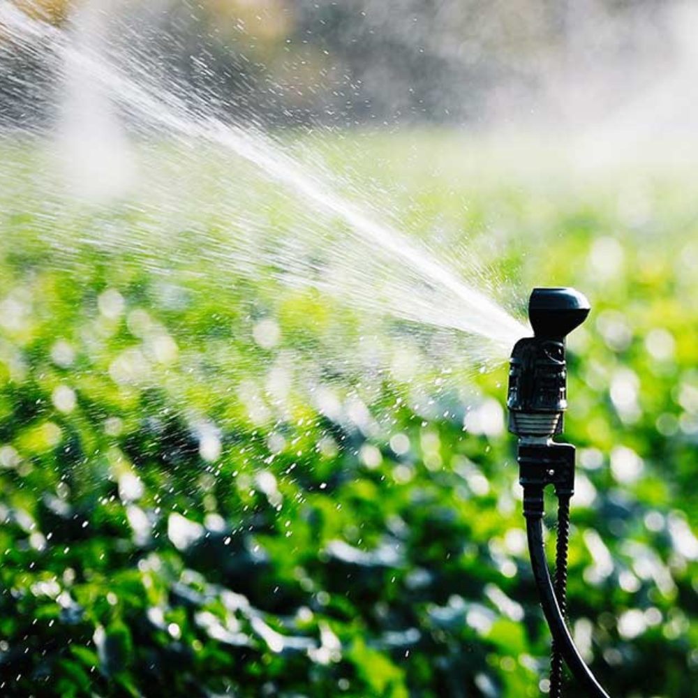 SISTEMA DE RIEGO, MUY IMPORTANTE