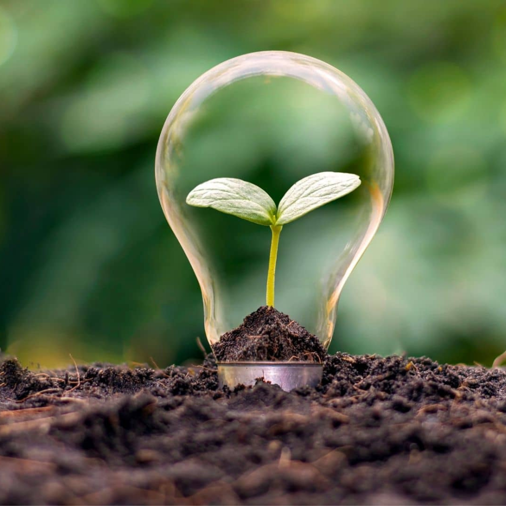 LISTA DE MATERIALES PARA CONSTRUIR DE MANERA SUSTENTABLE