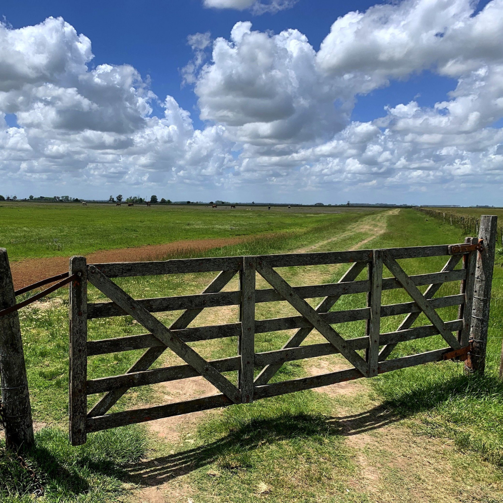 MERCADO INMOBILIARIO RURAL: UN PANORAMA PROMETEDOR