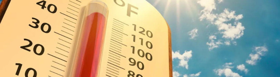 LOS PELIGROS DEL CALOR PARA LA VIVIENDA Y SUS HABITANTES